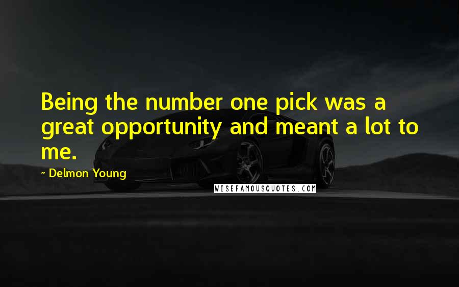 Delmon Young Quotes: Being the number one pick was a great opportunity and meant a lot to me.