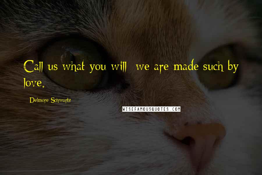 Delmore Schwartz Quotes: Call us what you will: we are made such by love.