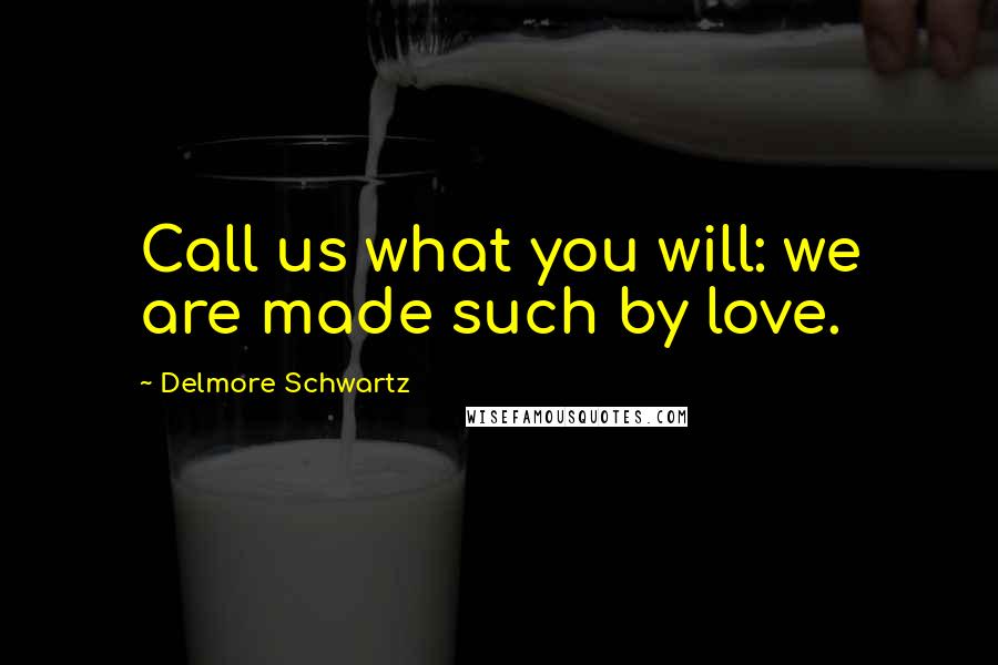 Delmore Schwartz Quotes: Call us what you will: we are made such by love.