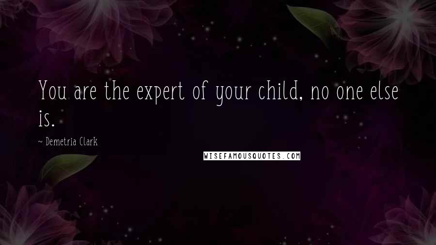 Demetria Clark Quotes: You are the expert of your child, no one else is.