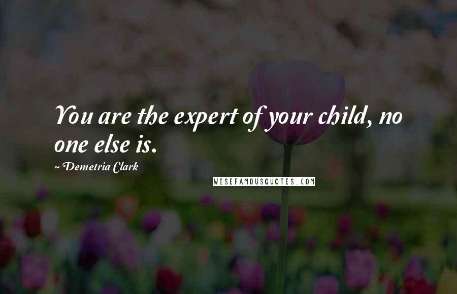 Demetria Clark Quotes: You are the expert of your child, no one else is.