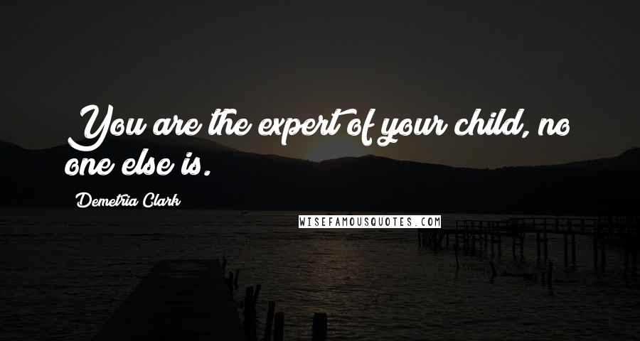 Demetria Clark Quotes: You are the expert of your child, no one else is.