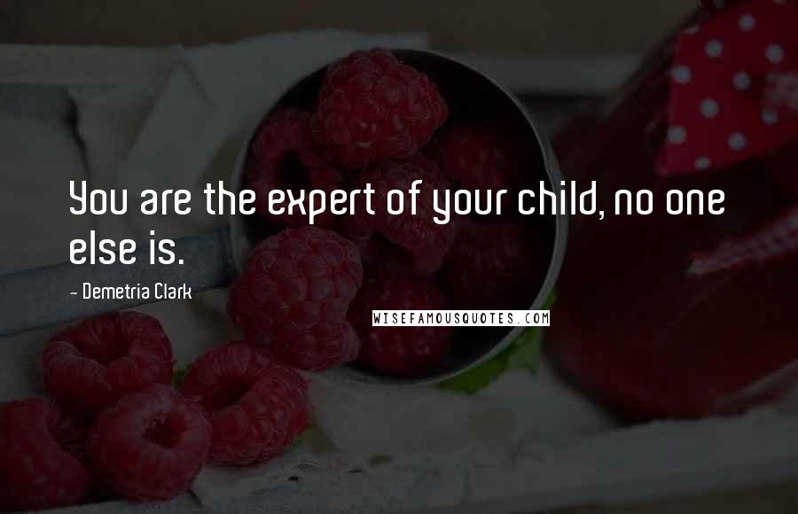 Demetria Clark Quotes: You are the expert of your child, no one else is.