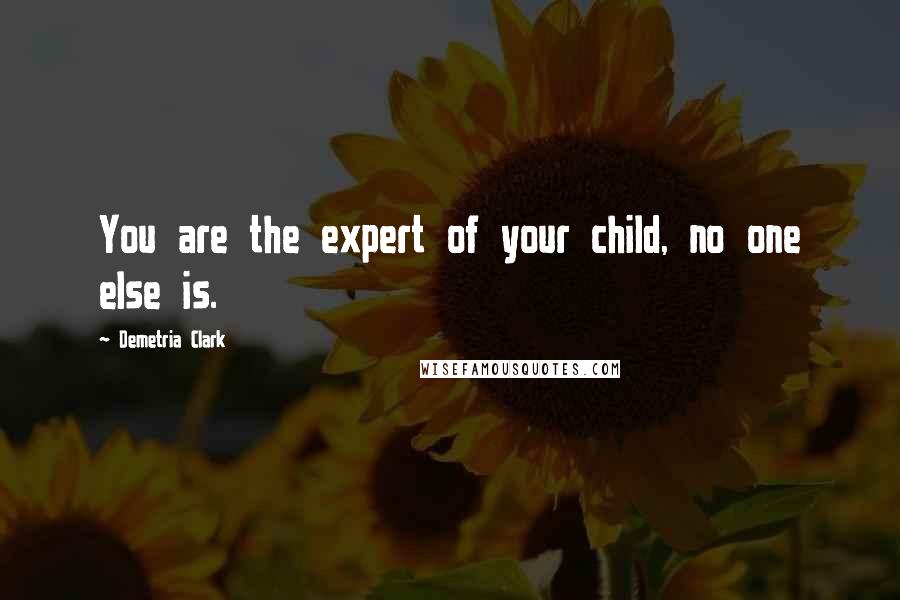 Demetria Clark Quotes: You are the expert of your child, no one else is.