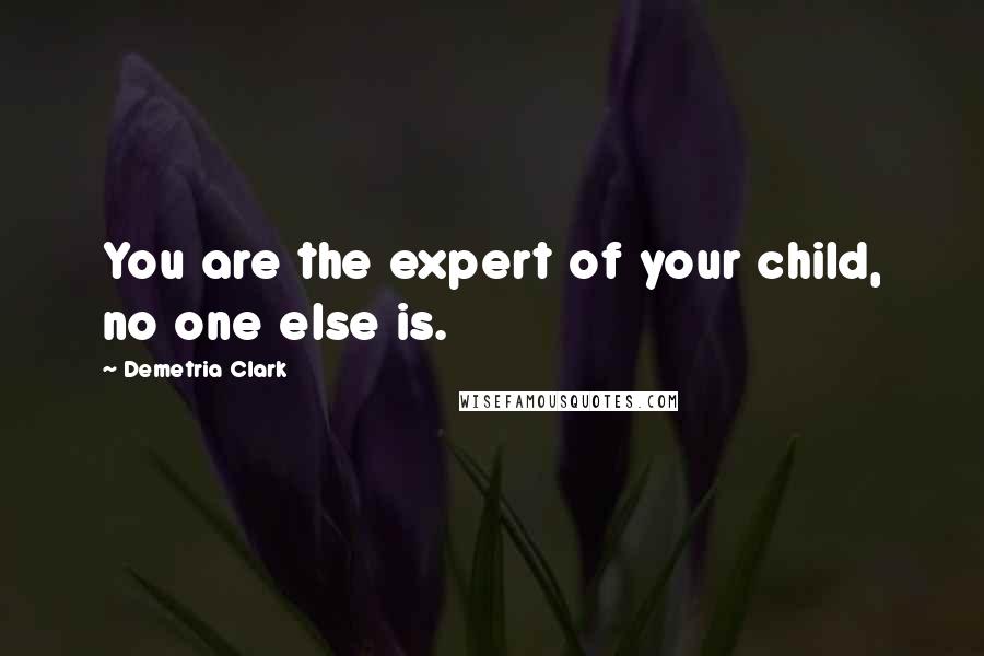 Demetria Clark Quotes: You are the expert of your child, no one else is.