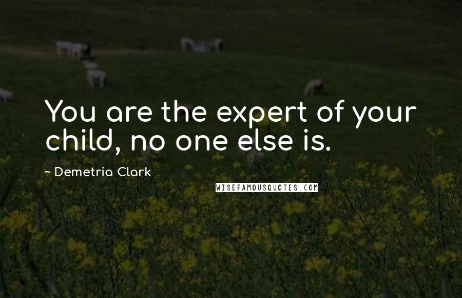 Demetria Clark Quotes: You are the expert of your child, no one else is.