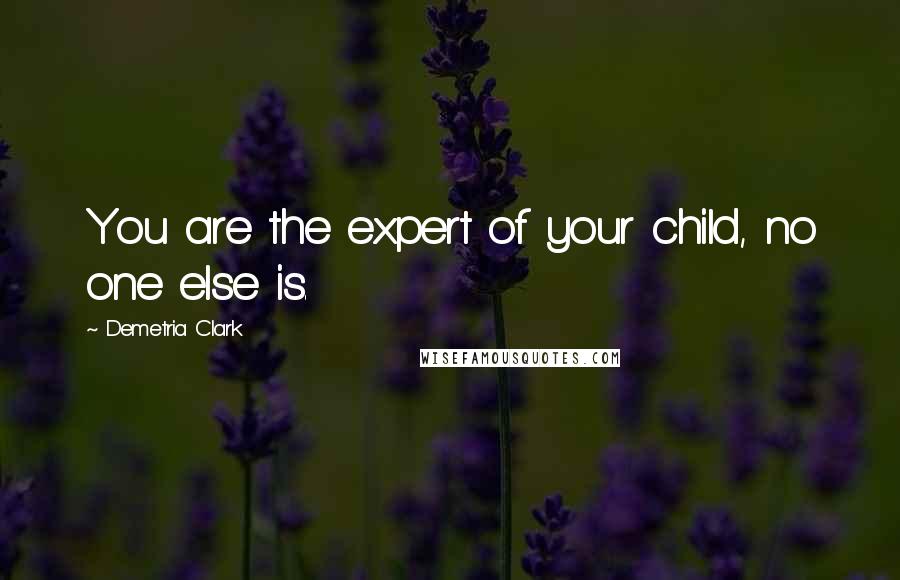 Demetria Clark Quotes: You are the expert of your child, no one else is.