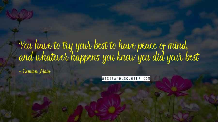 Demian Maia Quotes: You have to try your best to have peace of mind, and whatever happens you know you did your best