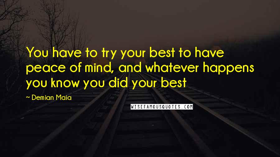 Demian Maia Quotes: You have to try your best to have peace of mind, and whatever happens you know you did your best