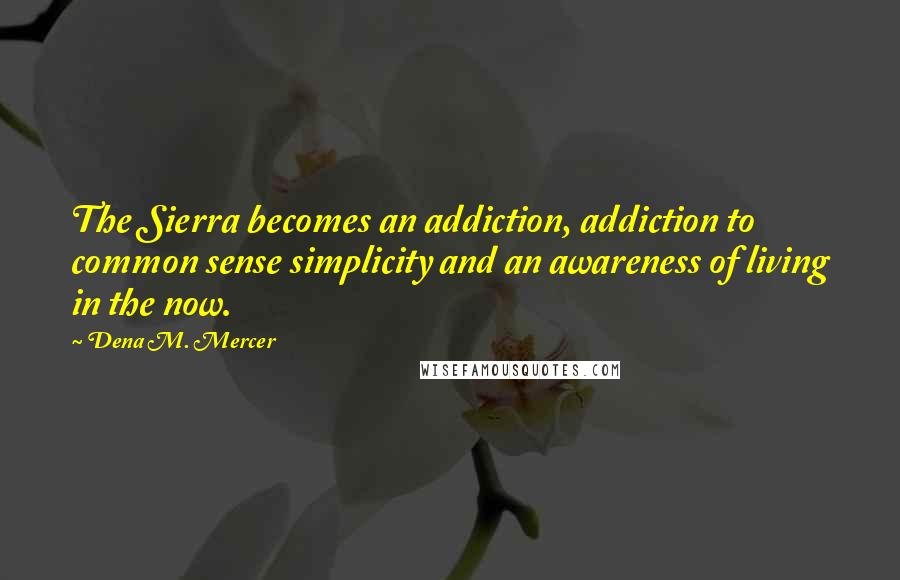 Dena M. Mercer Quotes: The Sierra becomes an addiction, addiction to common sense simplicity and an awareness of living in the now.