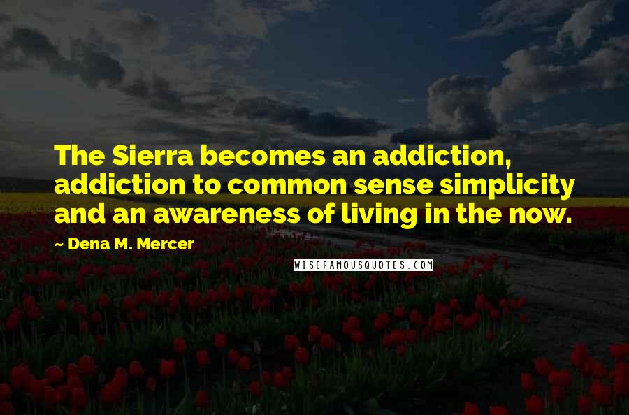 Dena M. Mercer Quotes: The Sierra becomes an addiction, addiction to common sense simplicity and an awareness of living in the now.