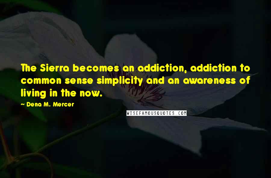Dena M. Mercer Quotes: The Sierra becomes an addiction, addiction to common sense simplicity and an awareness of living in the now.