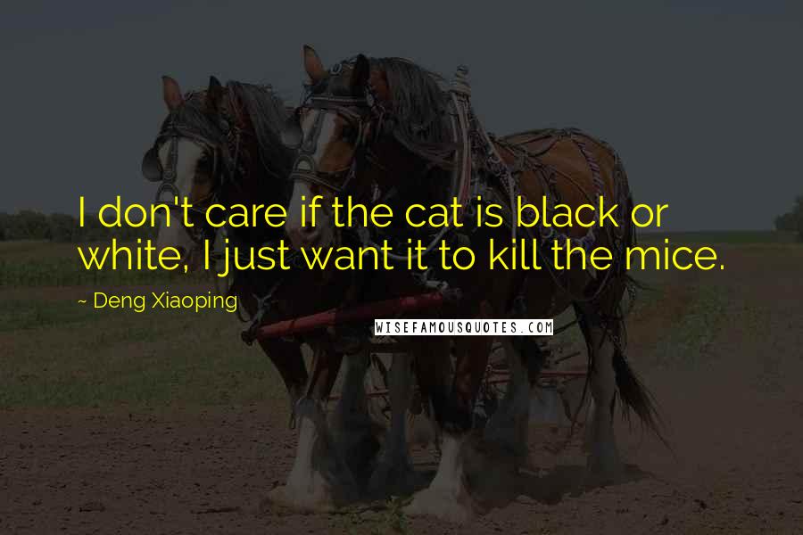 Deng Xiaoping Quotes: I don't care if the cat is black or white, I just want it to kill the mice.