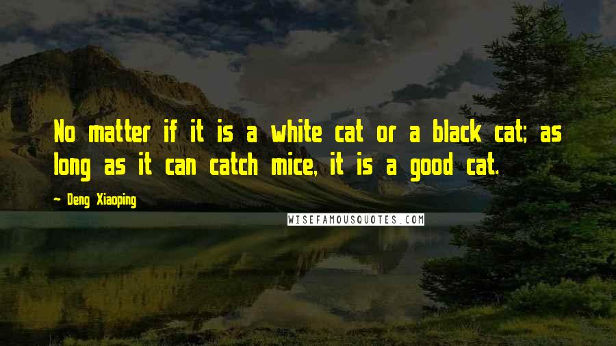 Deng Xiaoping Quotes: No matter if it is a white cat or a black cat; as long as it can catch mice, it is a good cat.