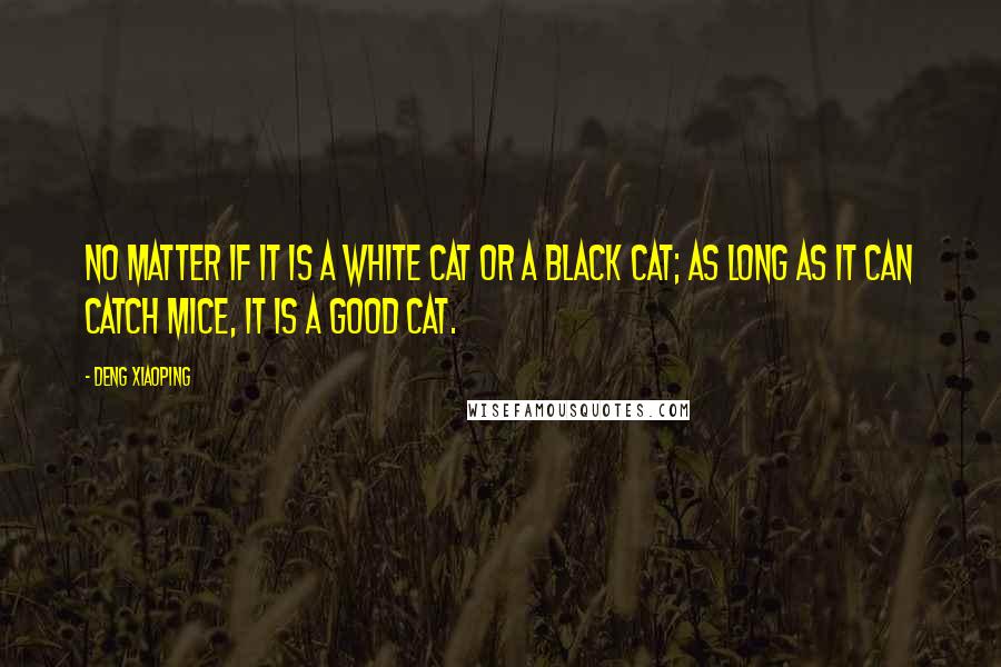 Deng Xiaoping Quotes: No matter if it is a white cat or a black cat; as long as it can catch mice, it is a good cat.