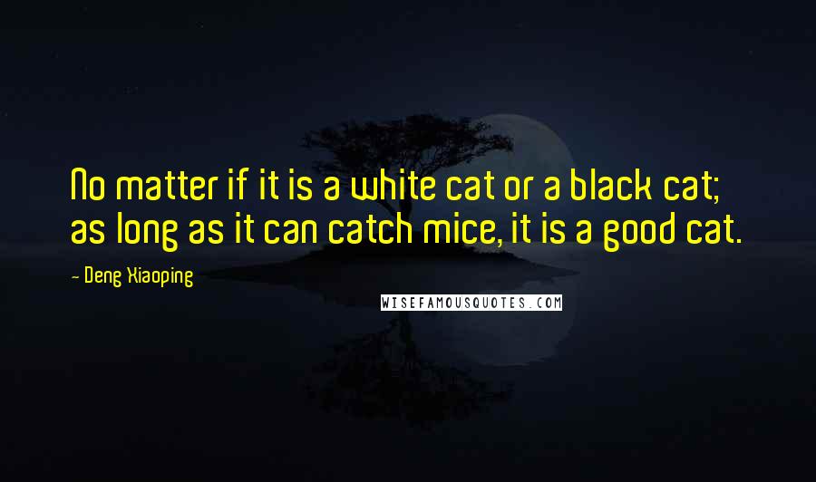 Deng Xiaoping Quotes: No matter if it is a white cat or a black cat; as long as it can catch mice, it is a good cat.