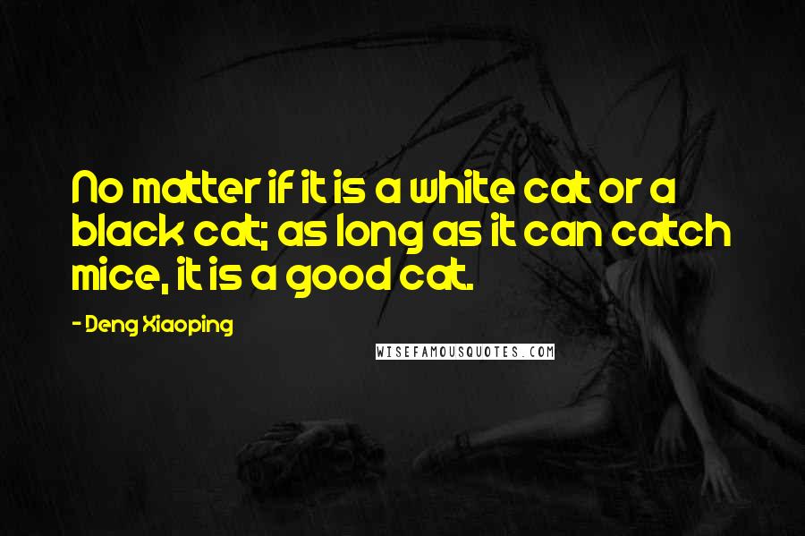Deng Xiaoping Quotes: No matter if it is a white cat or a black cat; as long as it can catch mice, it is a good cat.