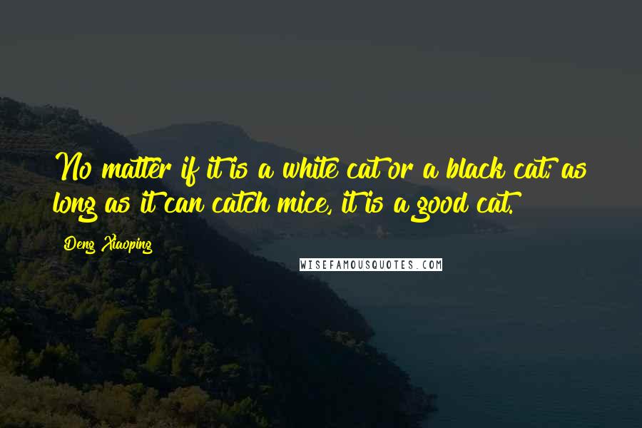 Deng Xiaoping Quotes: No matter if it is a white cat or a black cat; as long as it can catch mice, it is a good cat.