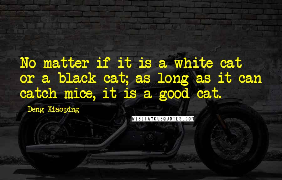 Deng Xiaoping Quotes: No matter if it is a white cat or a black cat; as long as it can catch mice, it is a good cat.