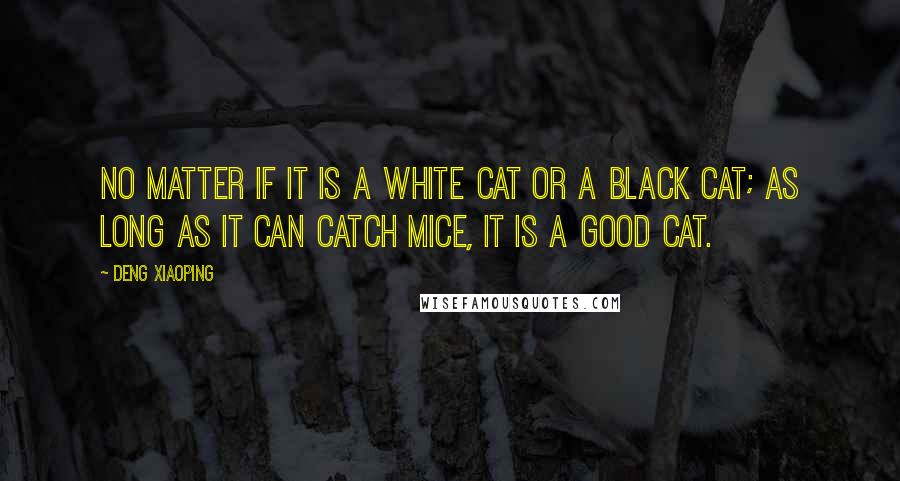 Deng Xiaoping Quotes: No matter if it is a white cat or a black cat; as long as it can catch mice, it is a good cat.