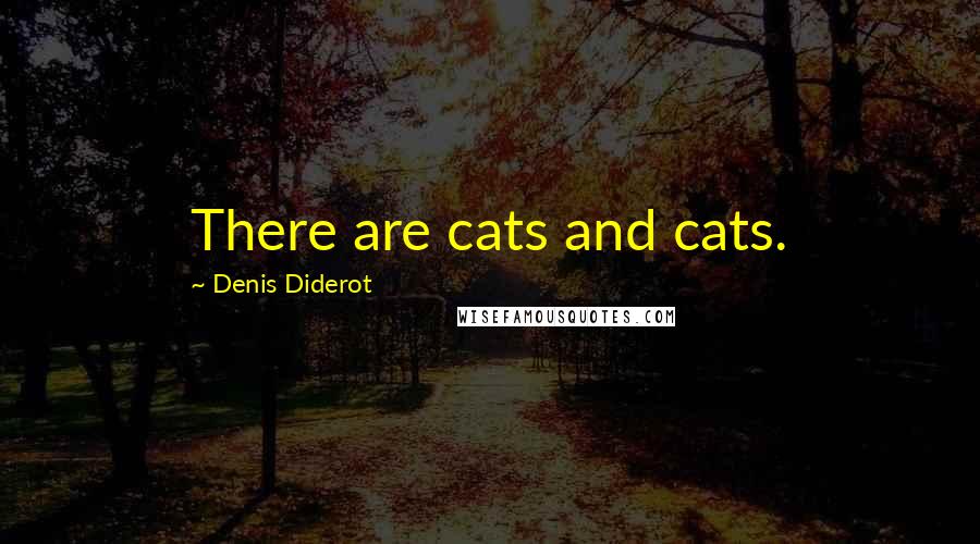 Denis Diderot Quotes: There are cats and cats.