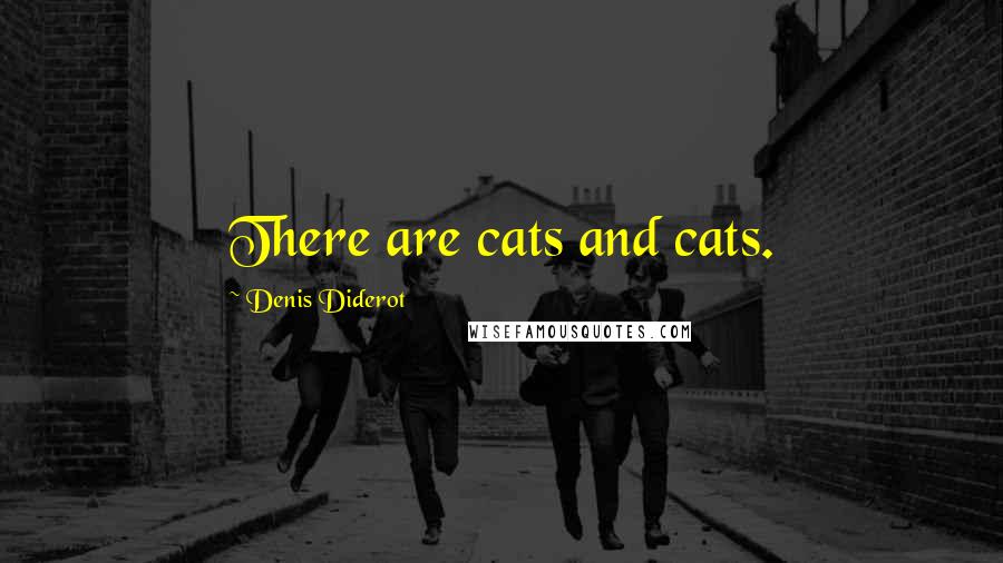 Denis Diderot Quotes: There are cats and cats.