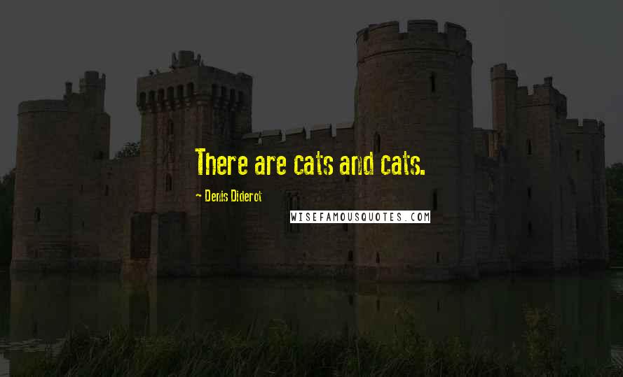 Denis Diderot Quotes: There are cats and cats.