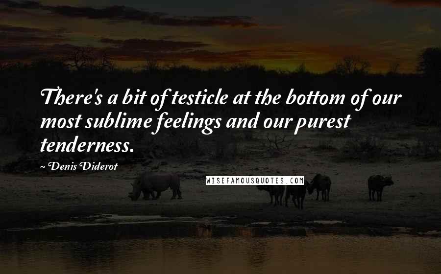 Denis Diderot Quotes: There's a bit of testicle at the bottom of our most sublime feelings and our purest tenderness.