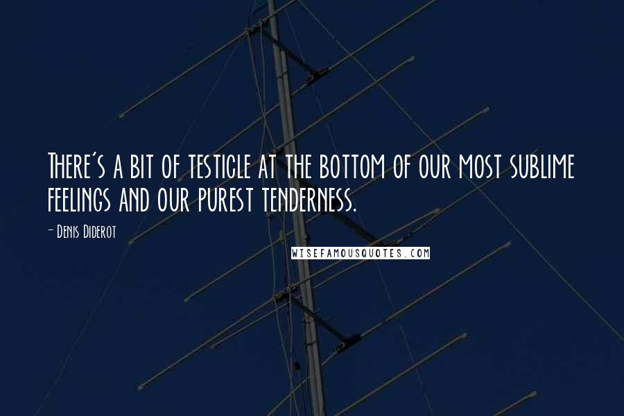 Denis Diderot Quotes: There's a bit of testicle at the bottom of our most sublime feelings and our purest tenderness.
