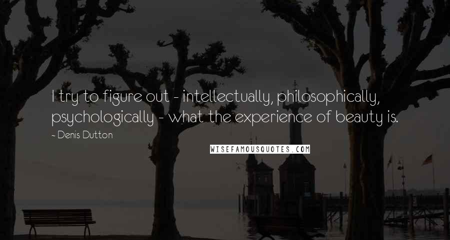 Denis Dutton Quotes: I try to figure out - intellectually, philosophically, psychologically - what the experience of beauty is.