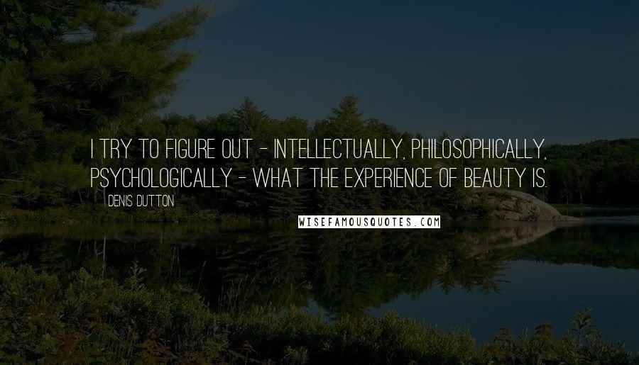 Denis Dutton Quotes: I try to figure out - intellectually, philosophically, psychologically - what the experience of beauty is.