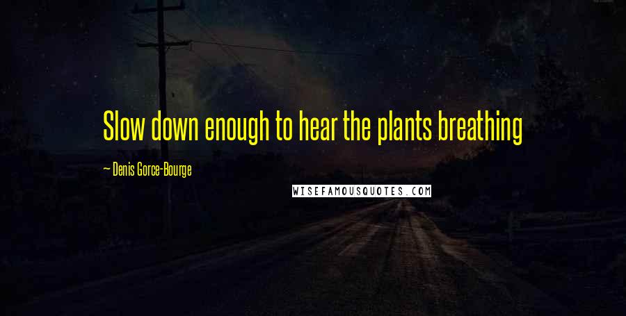 Denis Gorce-Bourge Quotes: Slow down enough to hear the plants breathing