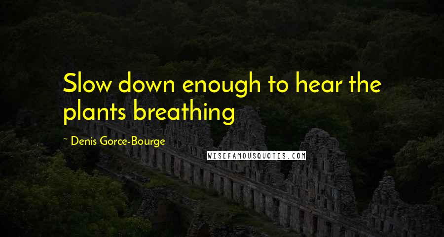 Denis Gorce-Bourge Quotes: Slow down enough to hear the plants breathing