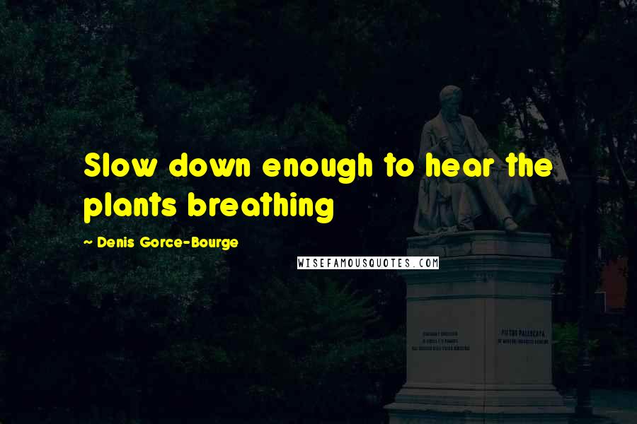 Denis Gorce-Bourge Quotes: Slow down enough to hear the plants breathing