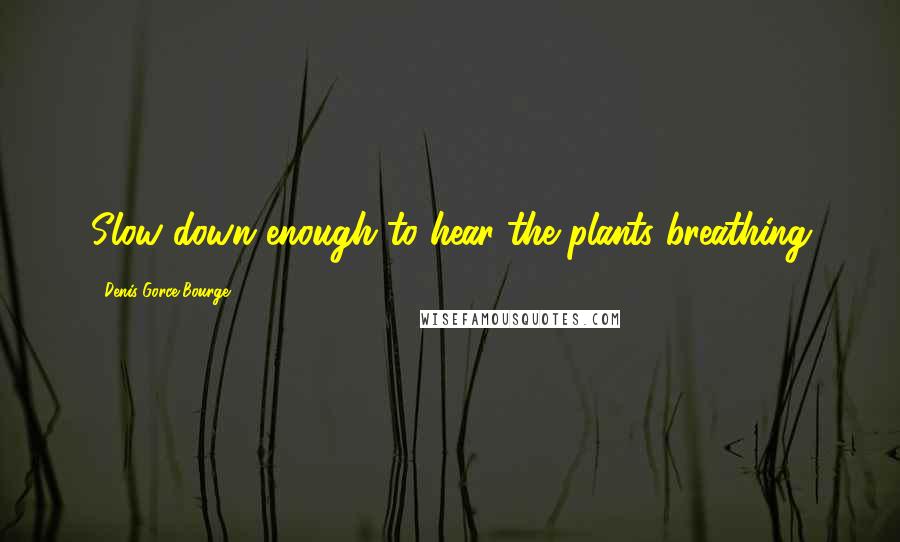 Denis Gorce-Bourge Quotes: Slow down enough to hear the plants breathing