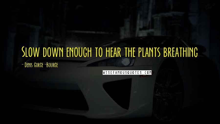 Denis Gorce-Bourge Quotes: Slow down enough to hear the plants breathing