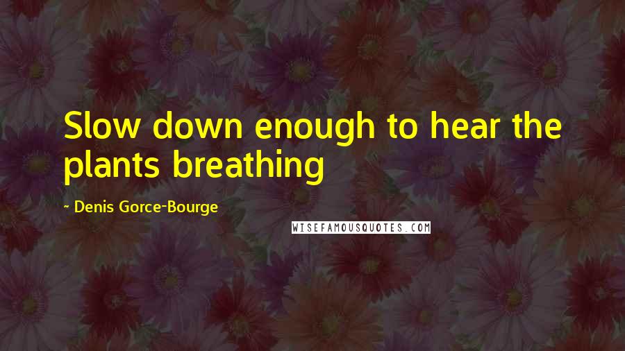 Denis Gorce-Bourge Quotes: Slow down enough to hear the plants breathing