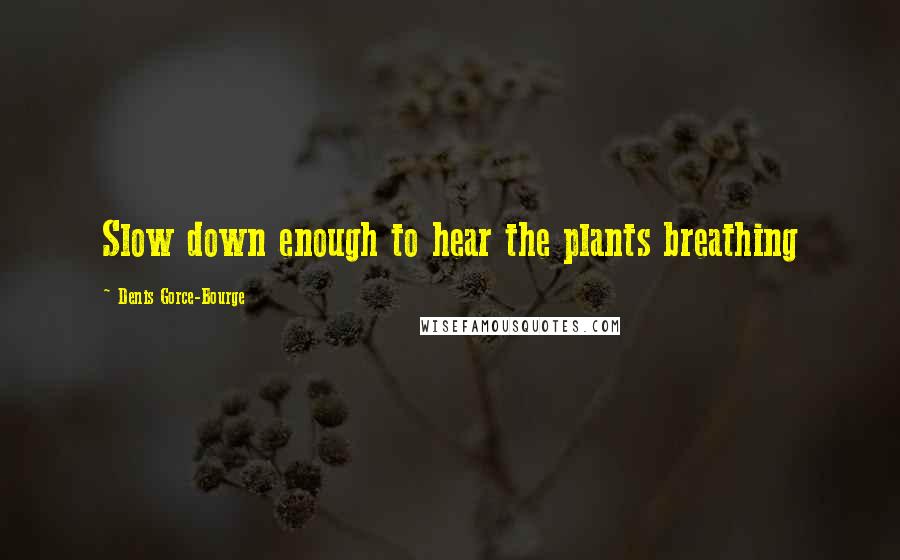 Denis Gorce-Bourge Quotes: Slow down enough to hear the plants breathing