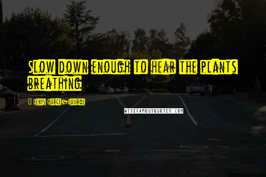 Denis Gorce-Bourge Quotes: Slow down enough to hear the plants breathing