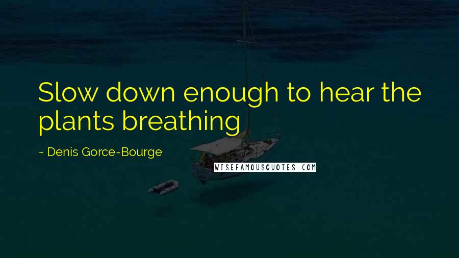 Denis Gorce-Bourge Quotes: Slow down enough to hear the plants breathing