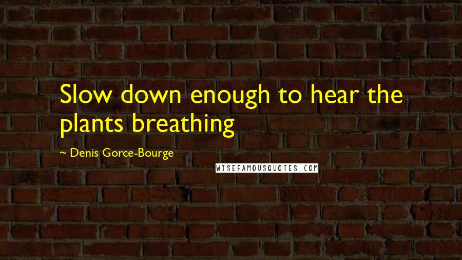 Denis Gorce-Bourge Quotes: Slow down enough to hear the plants breathing