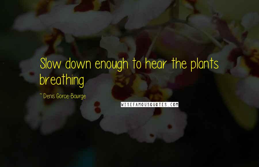 Denis Gorce-Bourge Quotes: Slow down enough to hear the plants breathing