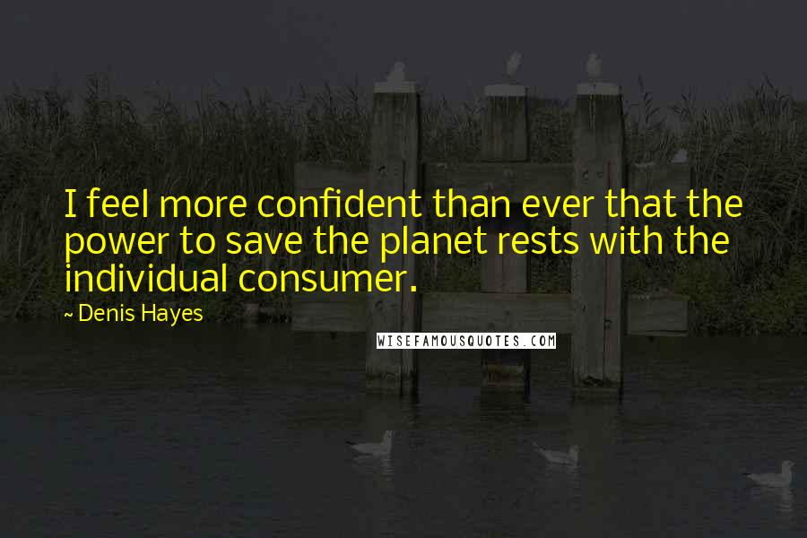 Denis Hayes Quotes: I feel more confident than ever that the power to save the planet rests with the individual consumer.