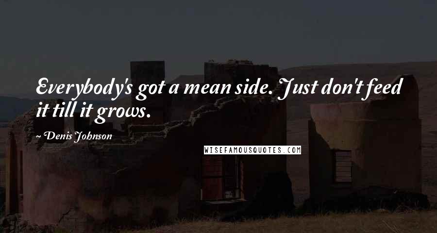 Denis Johnson Quotes: Everybody's got a mean side. Just don't feed it till it grows.