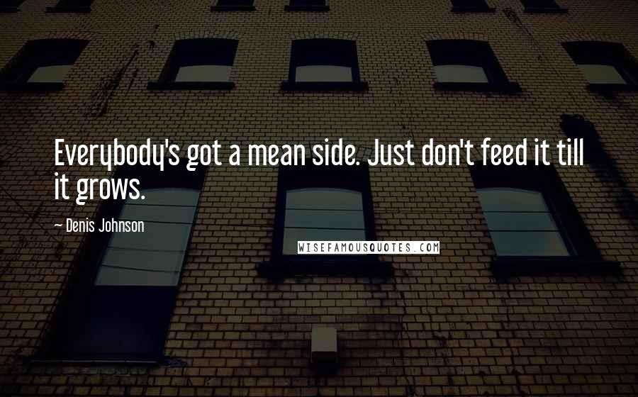 Denis Johnson Quotes: Everybody's got a mean side. Just don't feed it till it grows.