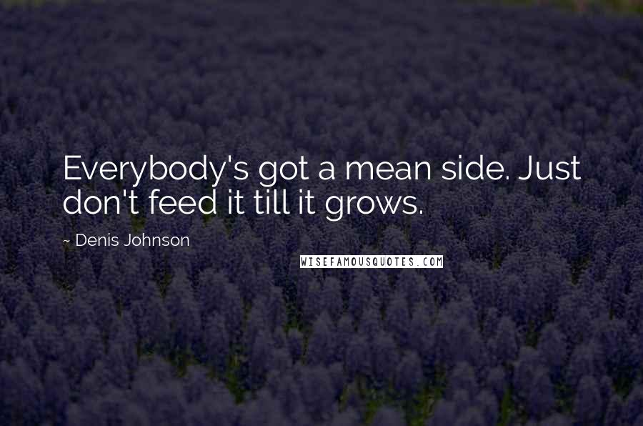 Denis Johnson Quotes: Everybody's got a mean side. Just don't feed it till it grows.