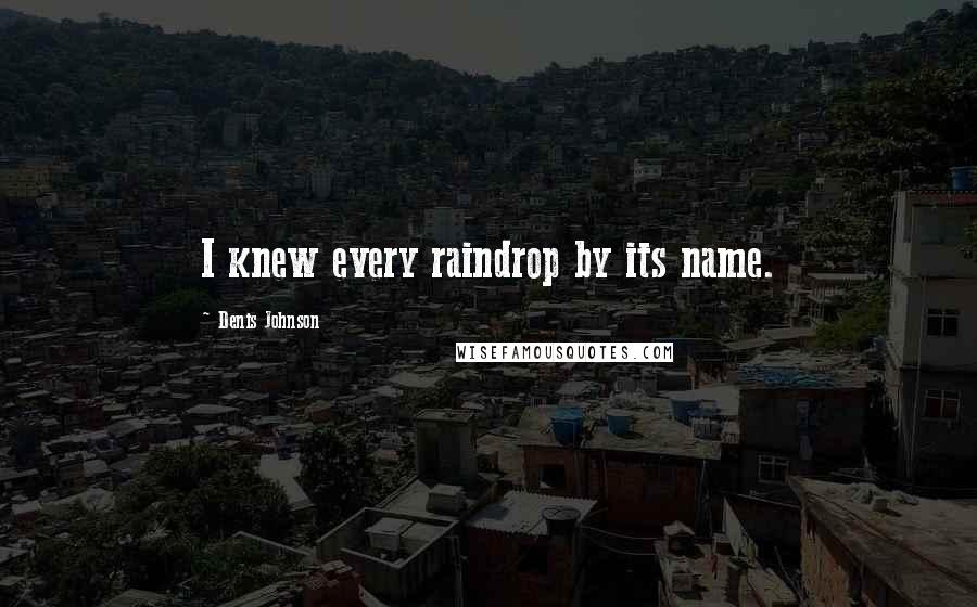 Denis Johnson Quotes: I knew every raindrop by its name.