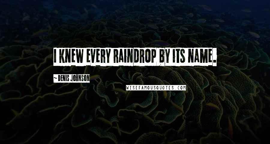 Denis Johnson Quotes: I knew every raindrop by its name.