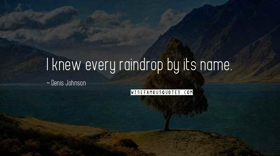 Denis Johnson Quotes: I knew every raindrop by its name.