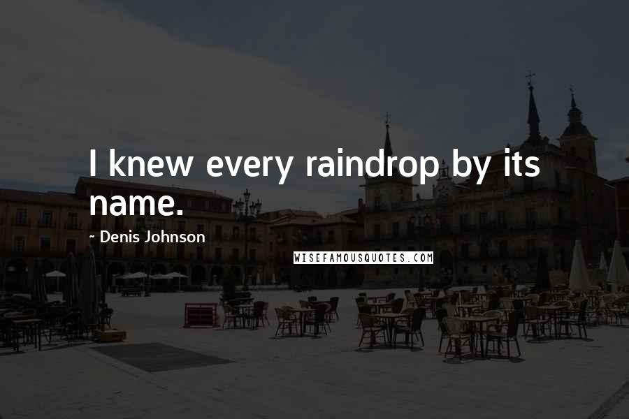 Denis Johnson Quotes: I knew every raindrop by its name.